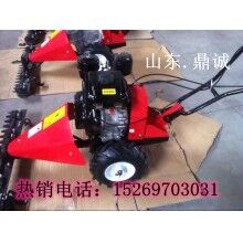 鼎誠(chéng)廠家報(bào)價(jià)草坪機(jī)械手扶式汽油割草機(jī)修剪效果好